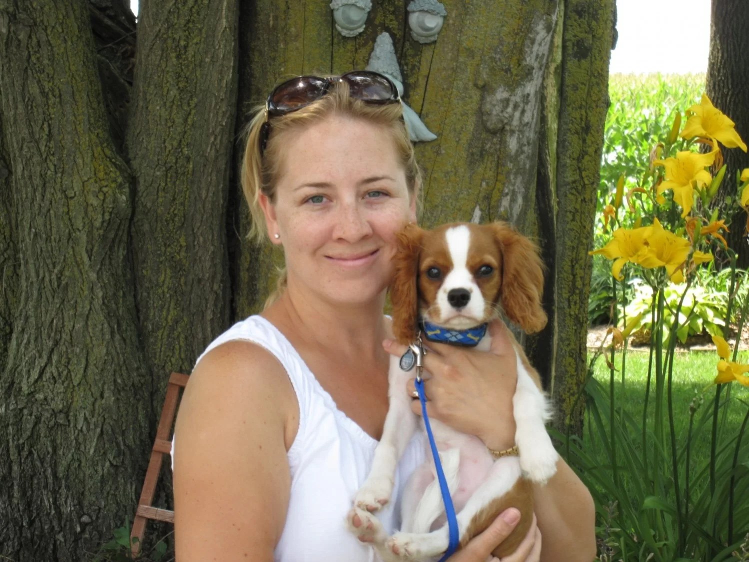 Remote collar training gets young dogs off to a great start Dog