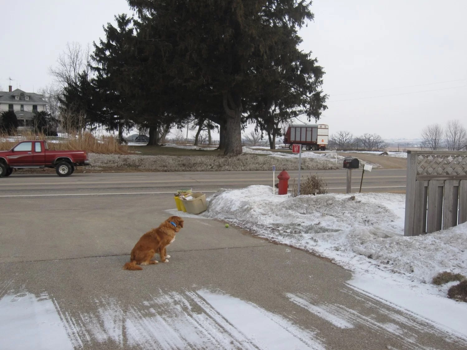 Invisible fencing, electronic collars and boundary training, oh my