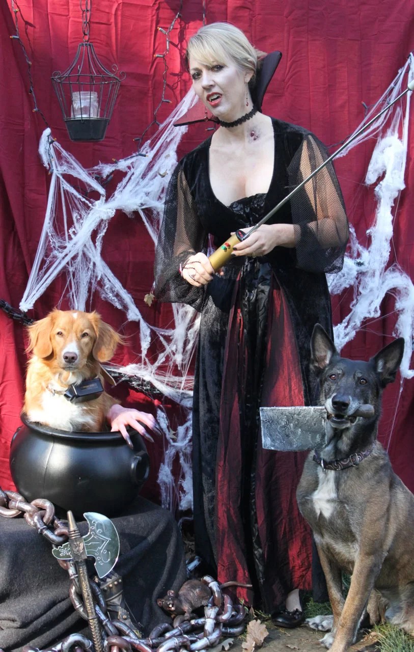 The Horrid Truth about Shock Collar Trainers