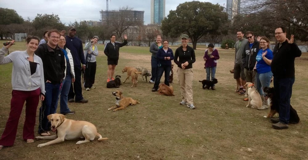 Dog Training Camp Obedience & ECollar Training Robin MacFarlane