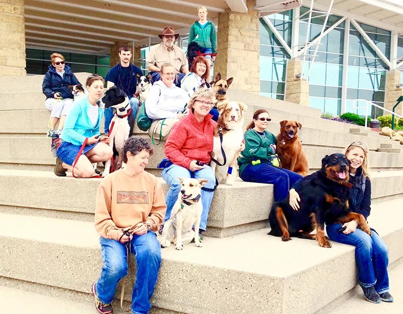 Dog Camp 2016 • Three Day Dog Training Camp