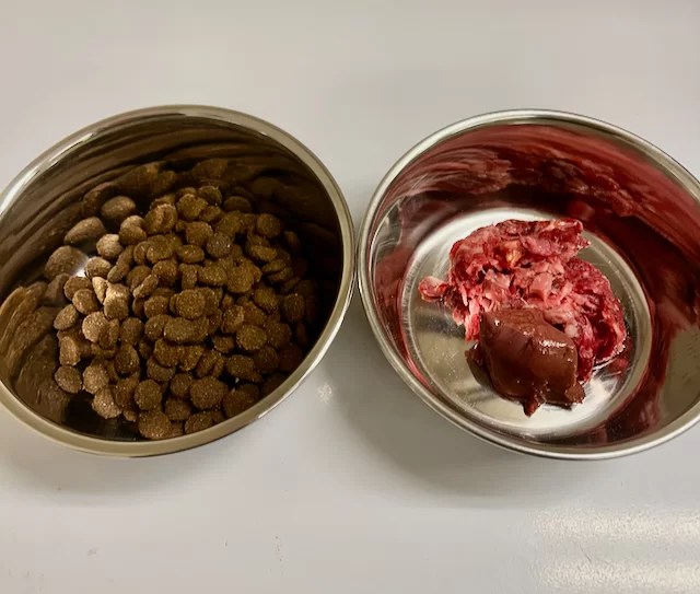 Dog food or Human food? What is the difference? Dog Training Blog