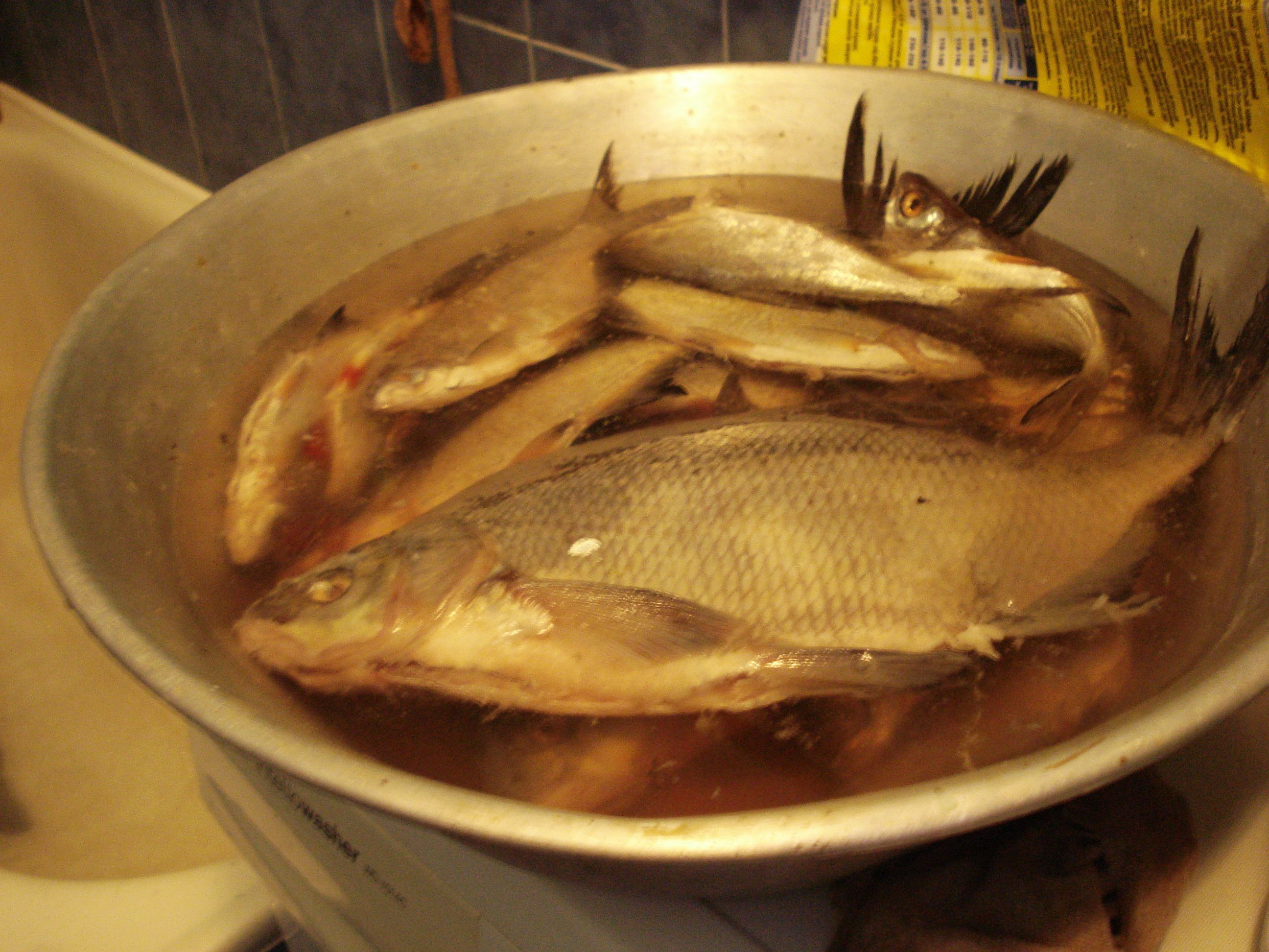 Sometimes There Are Fish In The Bathtub….. Marshrutkas and McDonalds