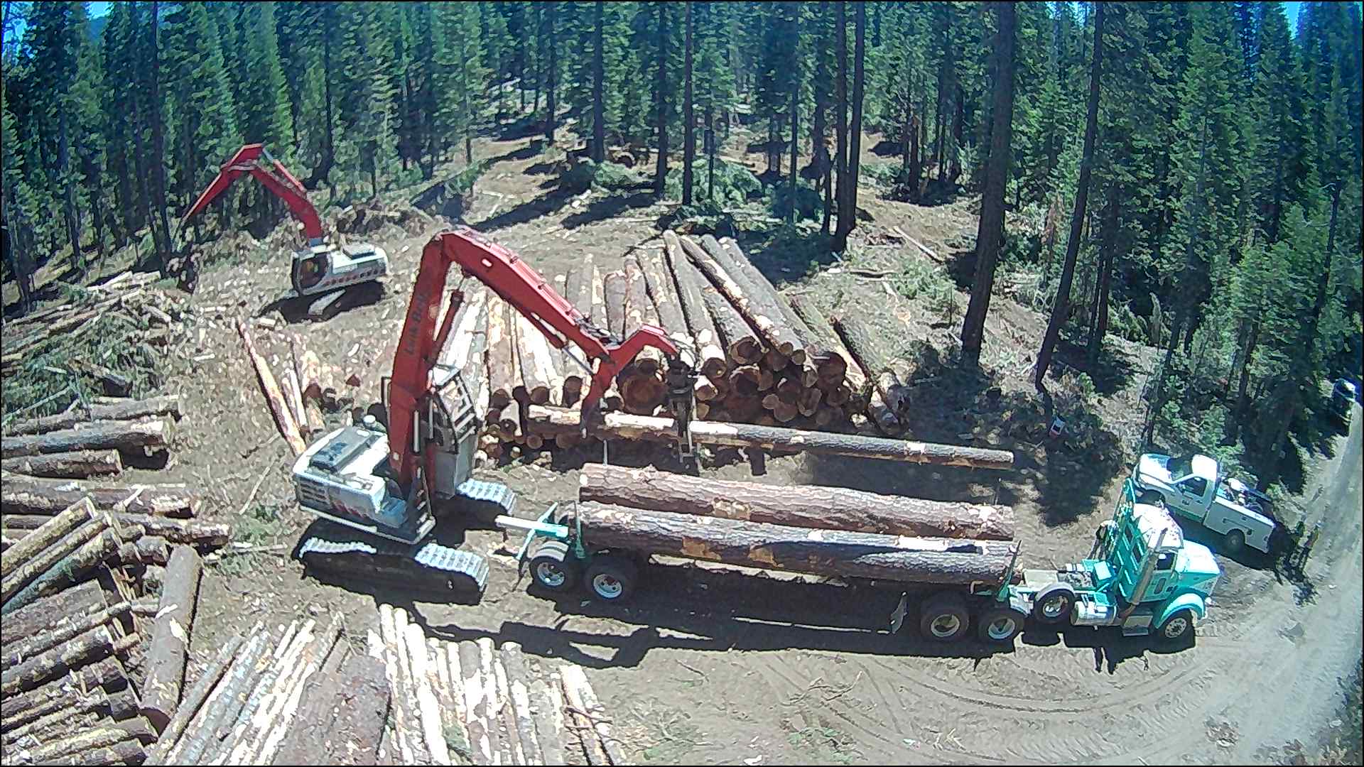 Robinson Enterprises, Inc. Experts in timber management and logging