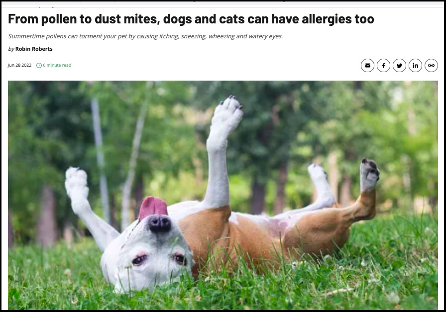 Scratch and Sniff Your pet’s seasonal allergies are about to get worse