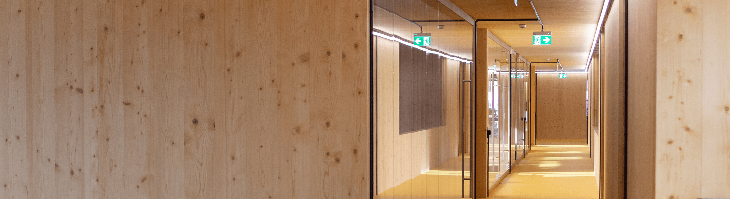 The Dual Benefits of Glass Walls Aesthetics and Energy Efficiency