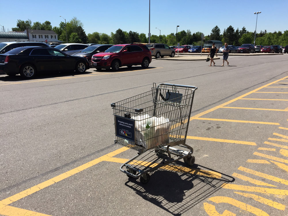 The shopping cart experiment Robocut studio