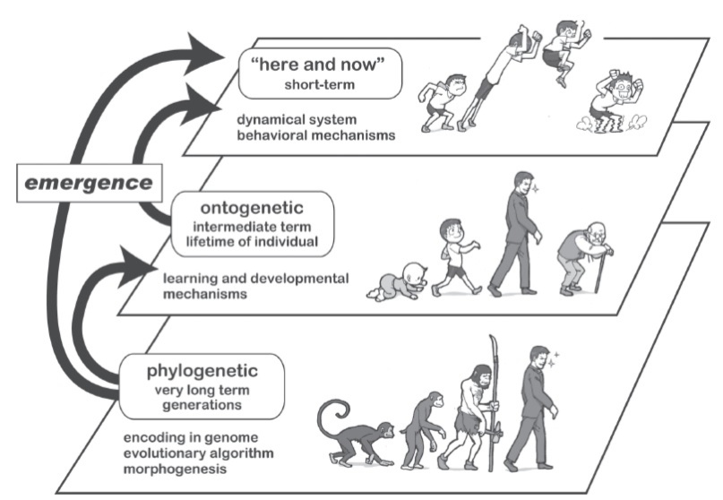 Embodied Cognition Is The Idea That IdeaWalls