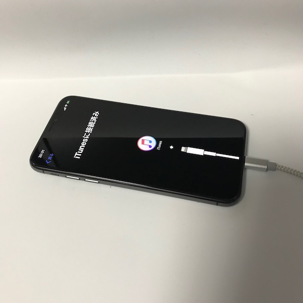 「iPhone X」 へデータ移行、その2。何とか無事に完了(*`･ω･)ゞ。iPhone X デビューです。 2階からMac