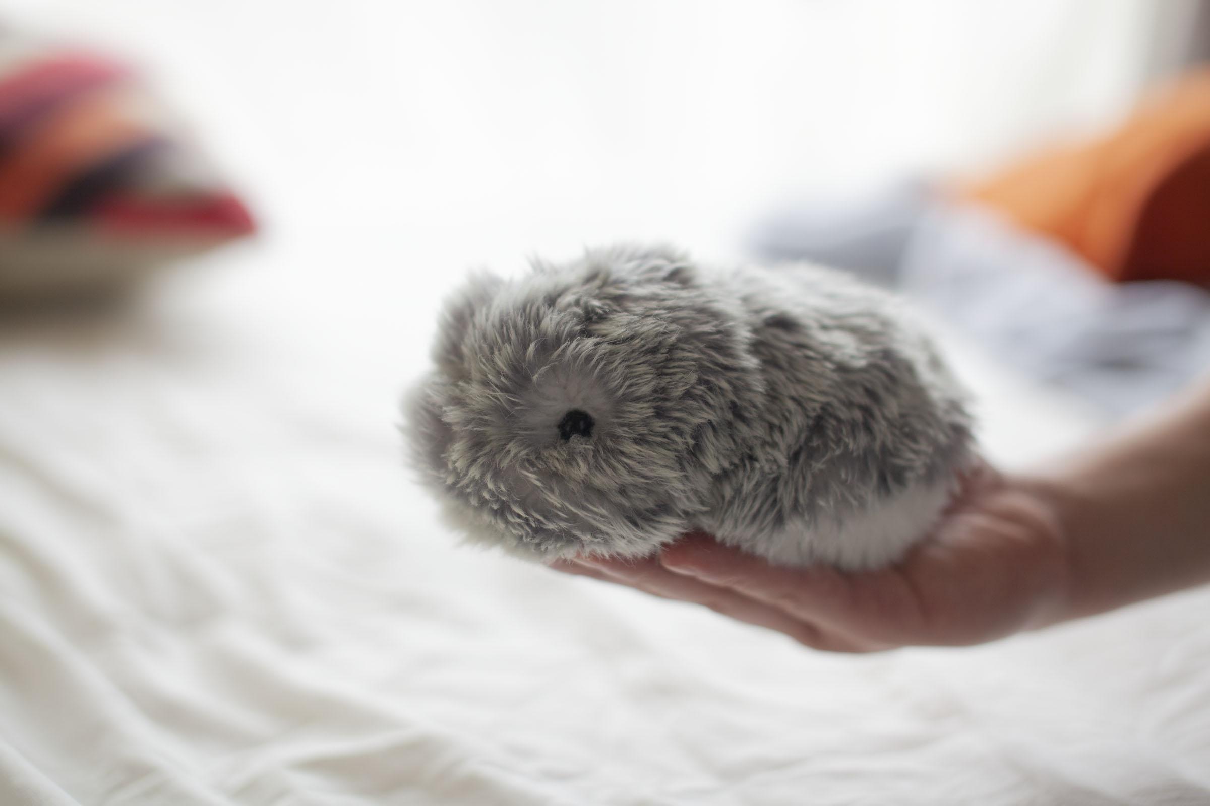 RobotsBlog MOFLIN, a lovable Pet Robot with advanced Artificial