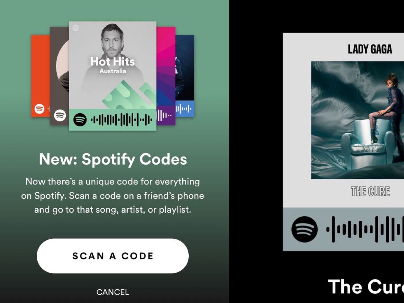 How To Scan Spotify Code