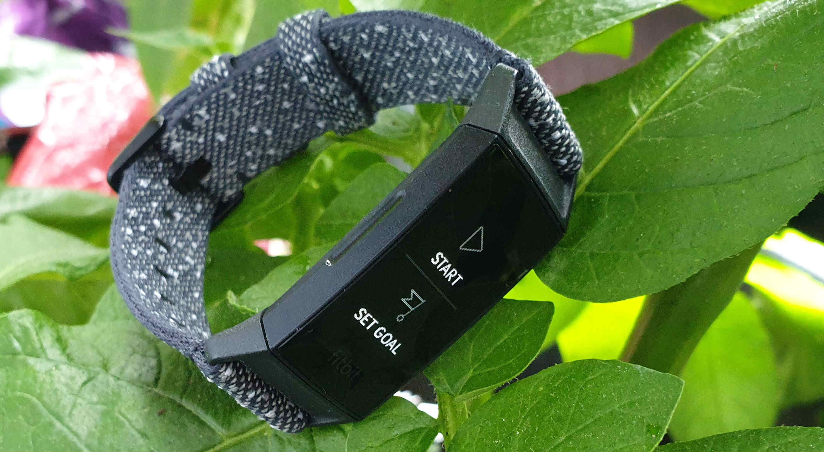 Display Settings: Turning On Screen Wake on Fitbit Charge 4 | Robots.net