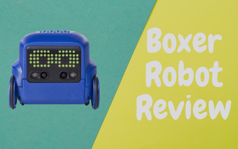 Boxer Robot Review [An Entertaining Gadget] | Robot Judge