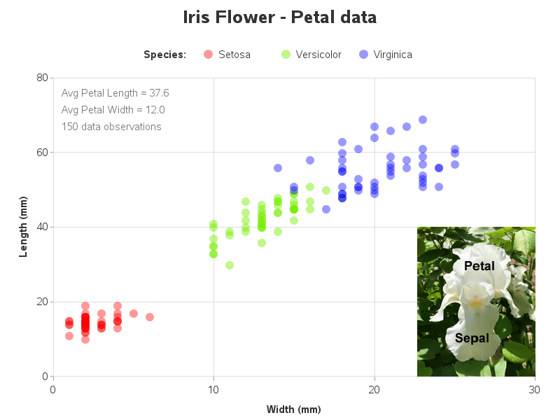 Iris Flower Data