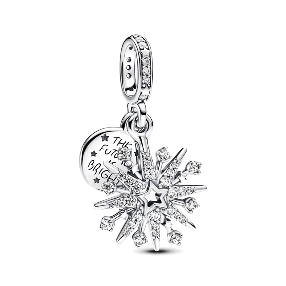 The Future Bright Charm Rob Steins