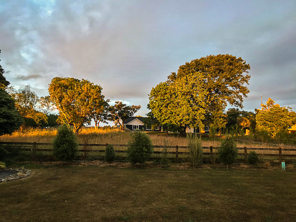 Feilding, Levin and Christmas Lights Rob's "Beats Working" Blog