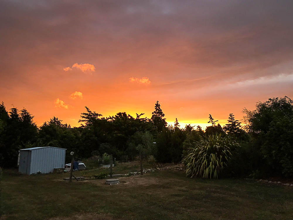 Feilding, Levin and Christmas Lights Rob's "Beats Working" Blog