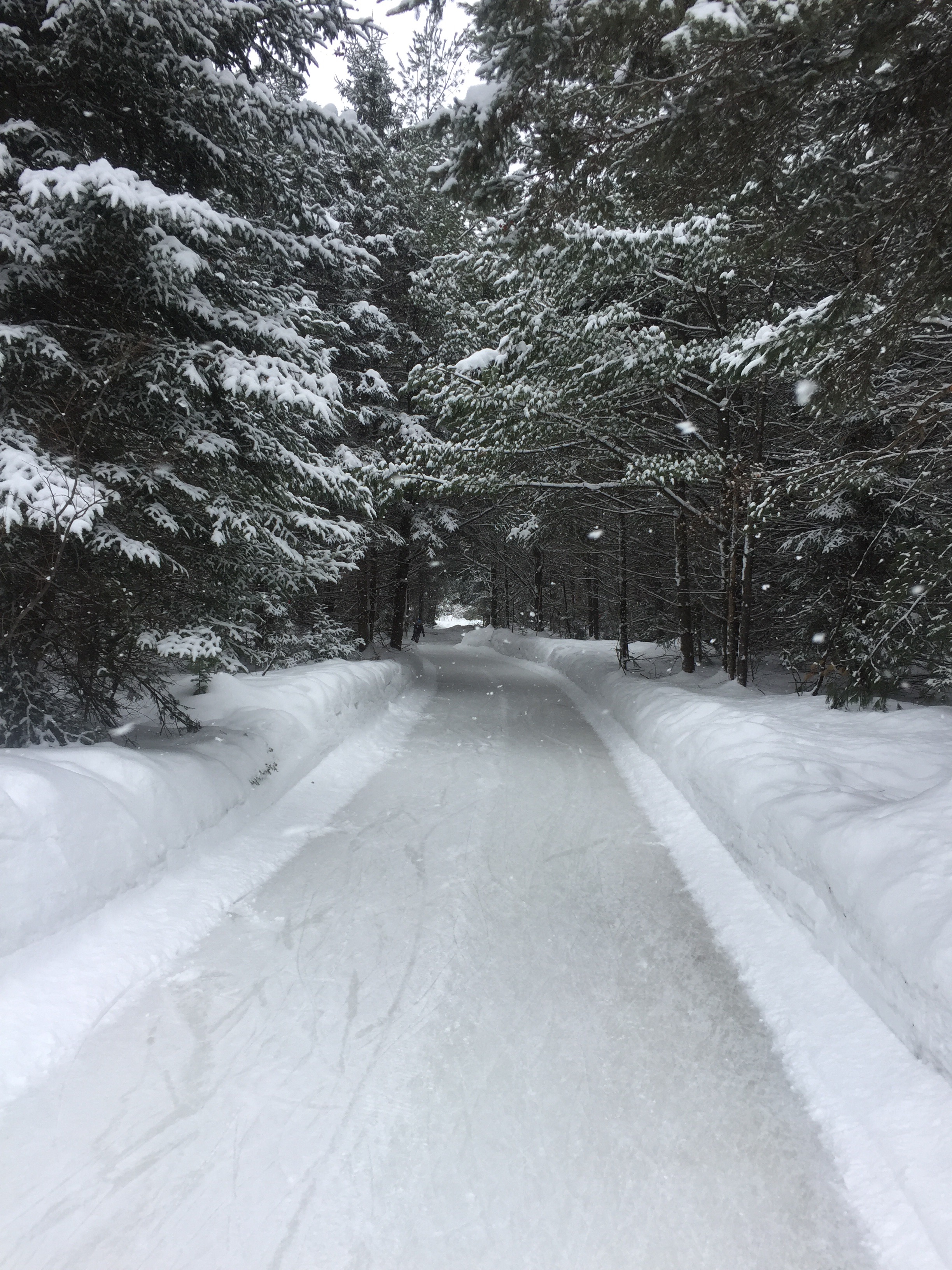 Blog Archives Page 2 of 144 Robyn Baldwin