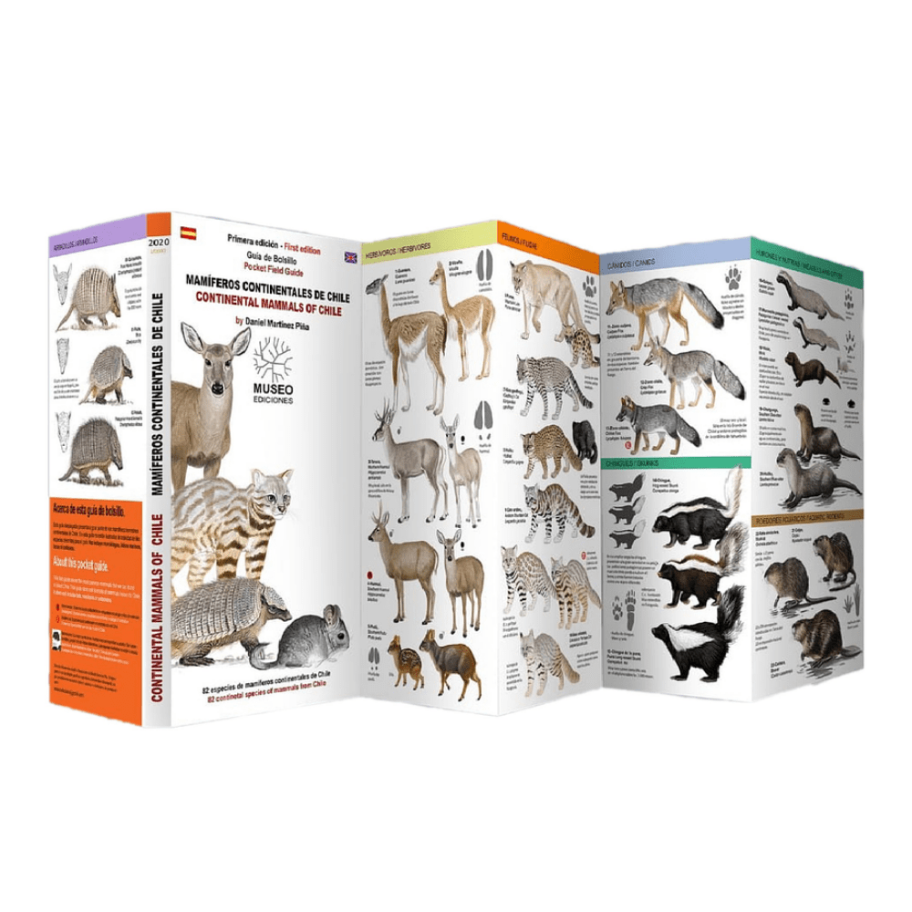 Roca Rental Arriendo de Equipo de Montaña