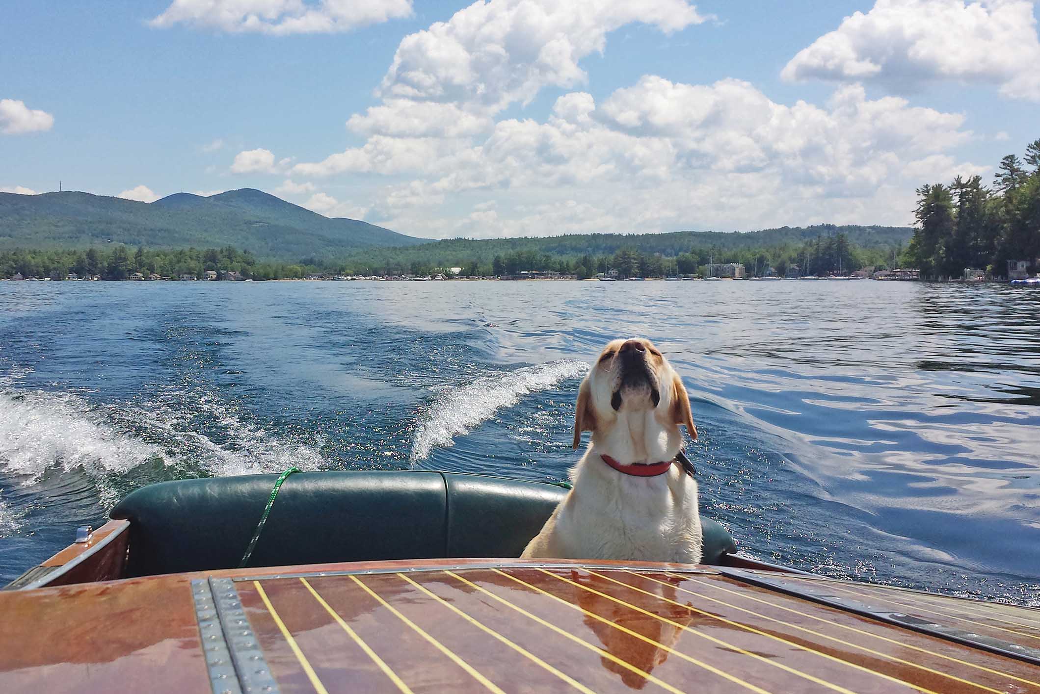 NH Lakes Region Homes for Sale Roche Realty