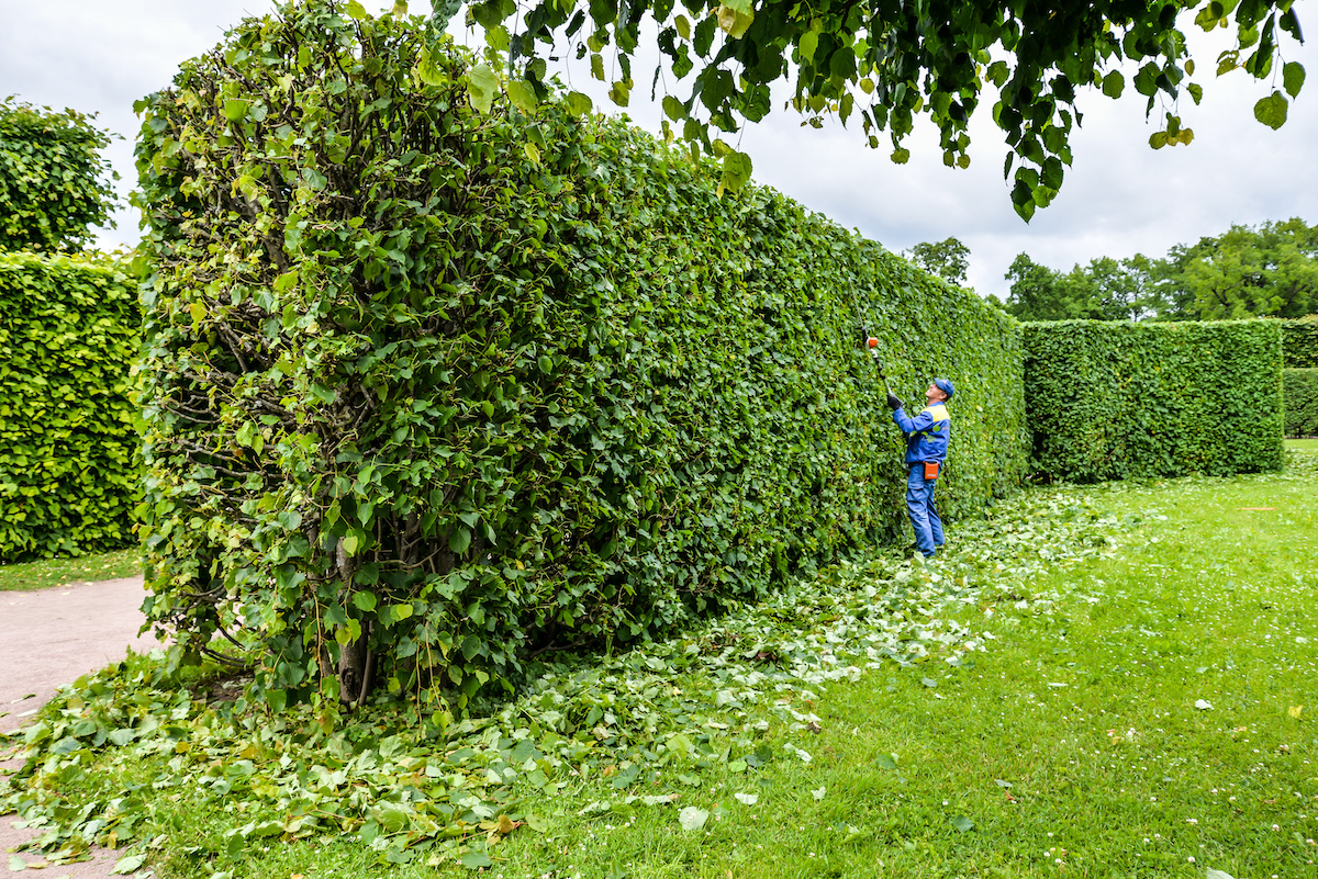 Landscaping Company Rochester Redefine Landscaping Rochester