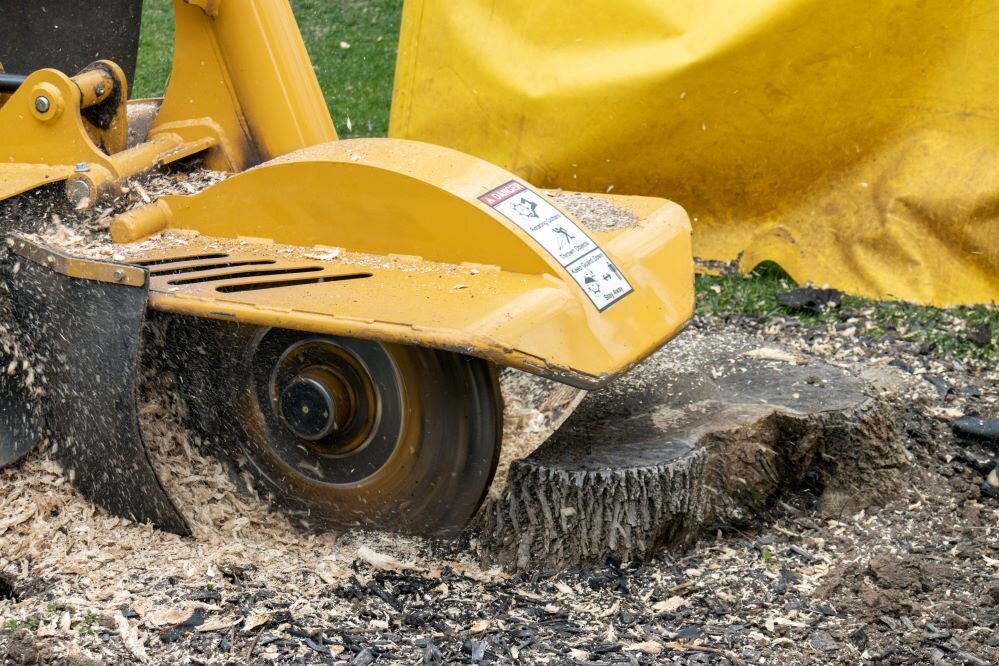 Stump Grinding Rochester Stump Grinding Service Rochester