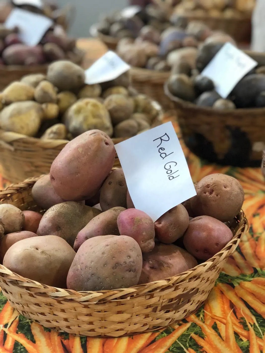 Guide to the Rochester MN Farmers Market