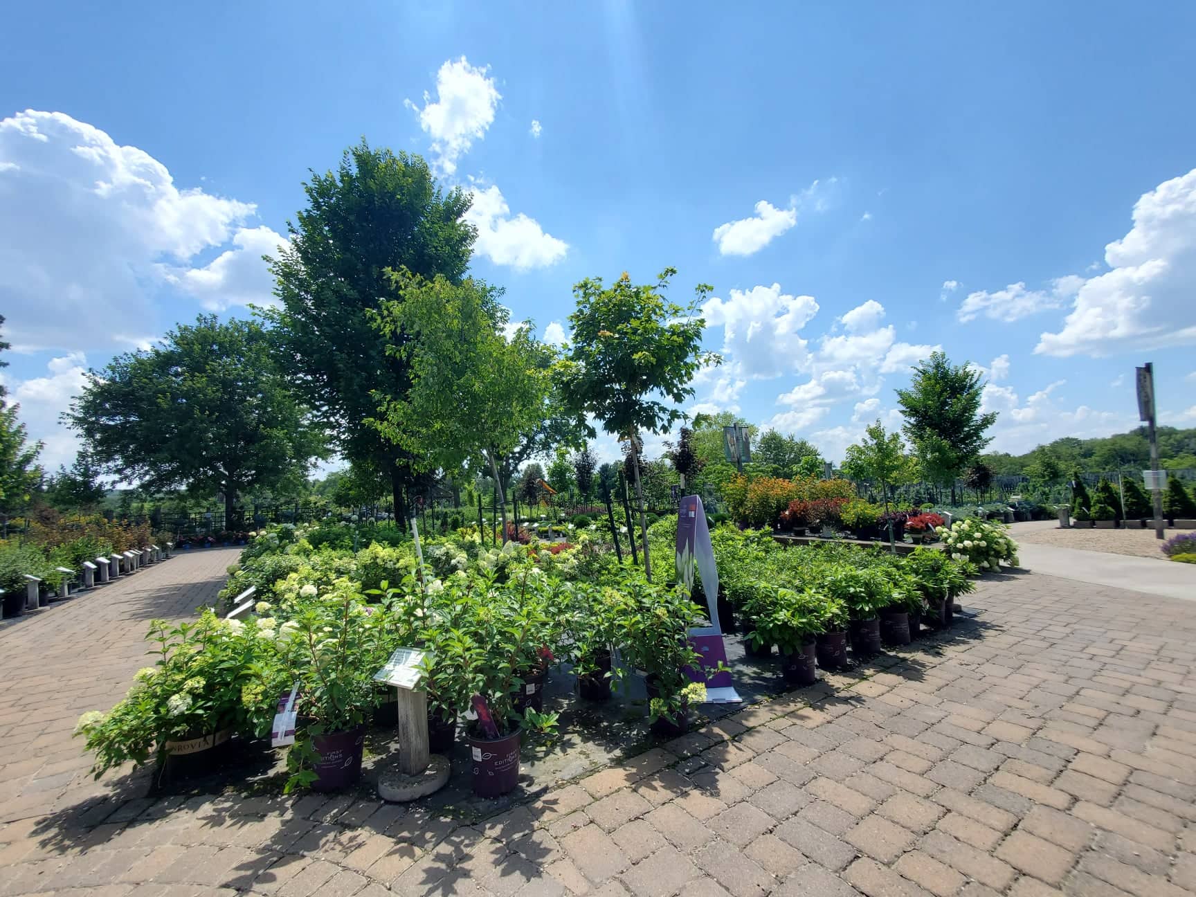 Guide to Rochester Area Nurseries and Greenhouses