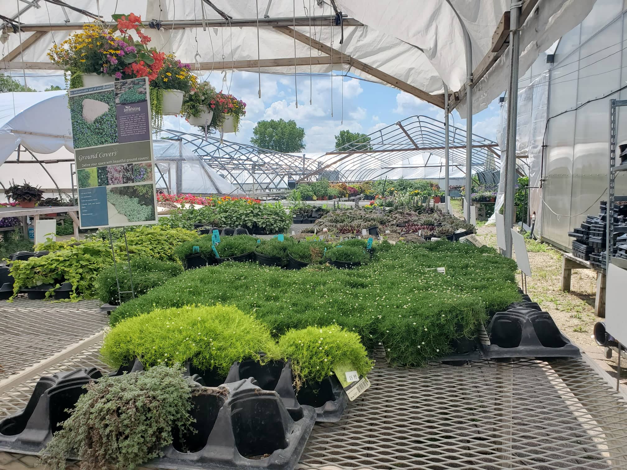 Guide to Rochester Area Nurseries and Greenhouses