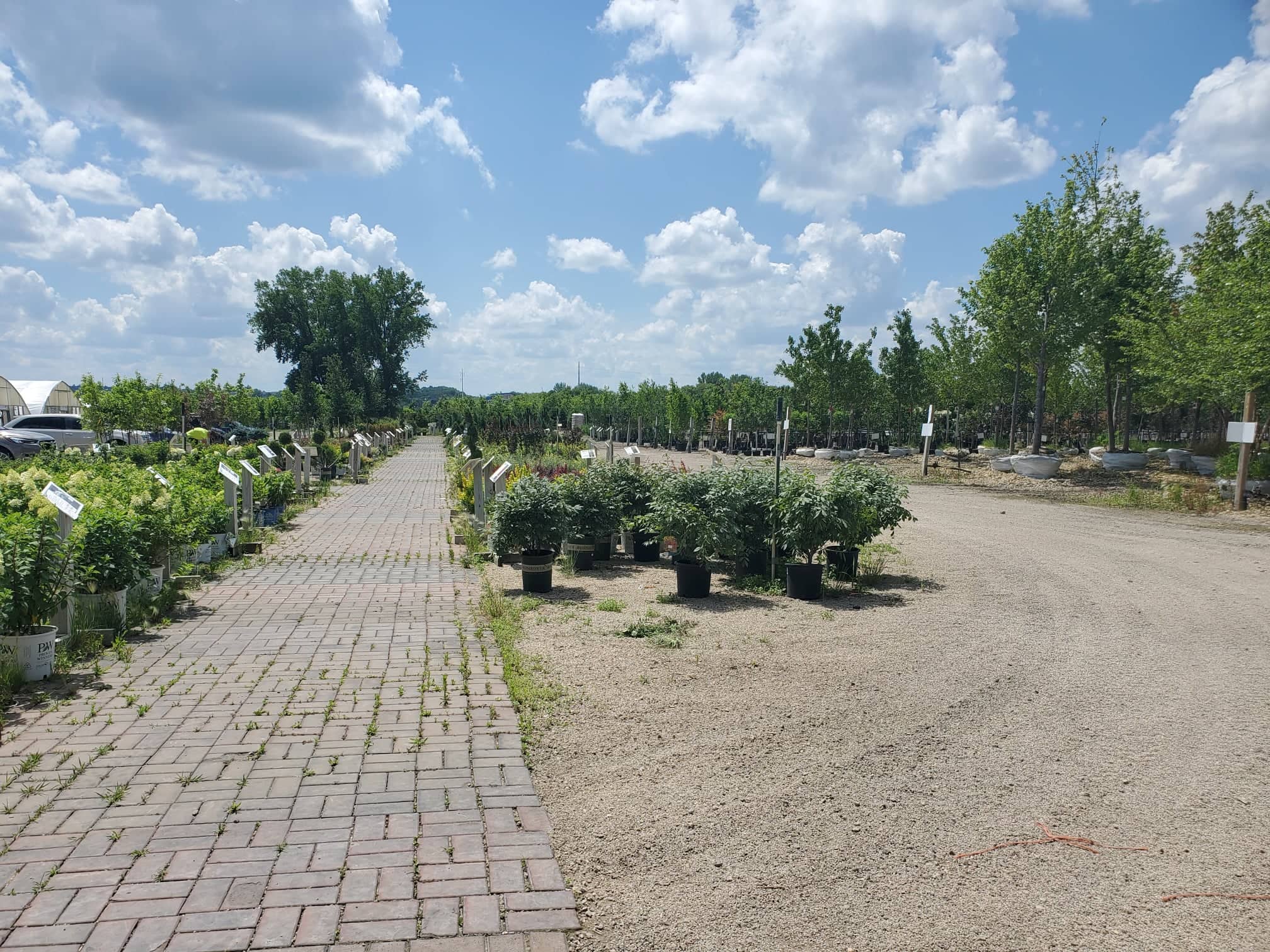 Guide to Rochester Area Nurseries and Greenhouses