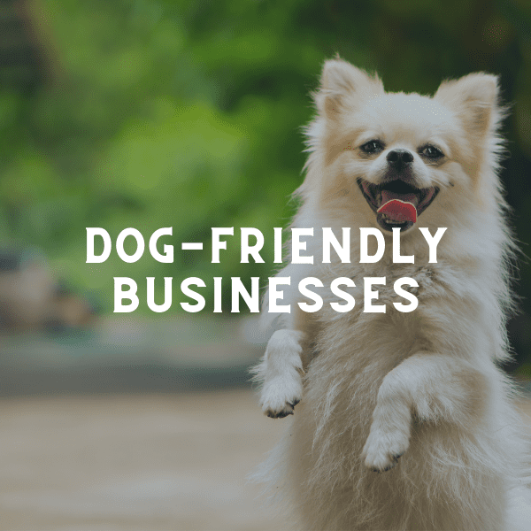 Rochester MN Guide to DogFriendly Patios and Businesses