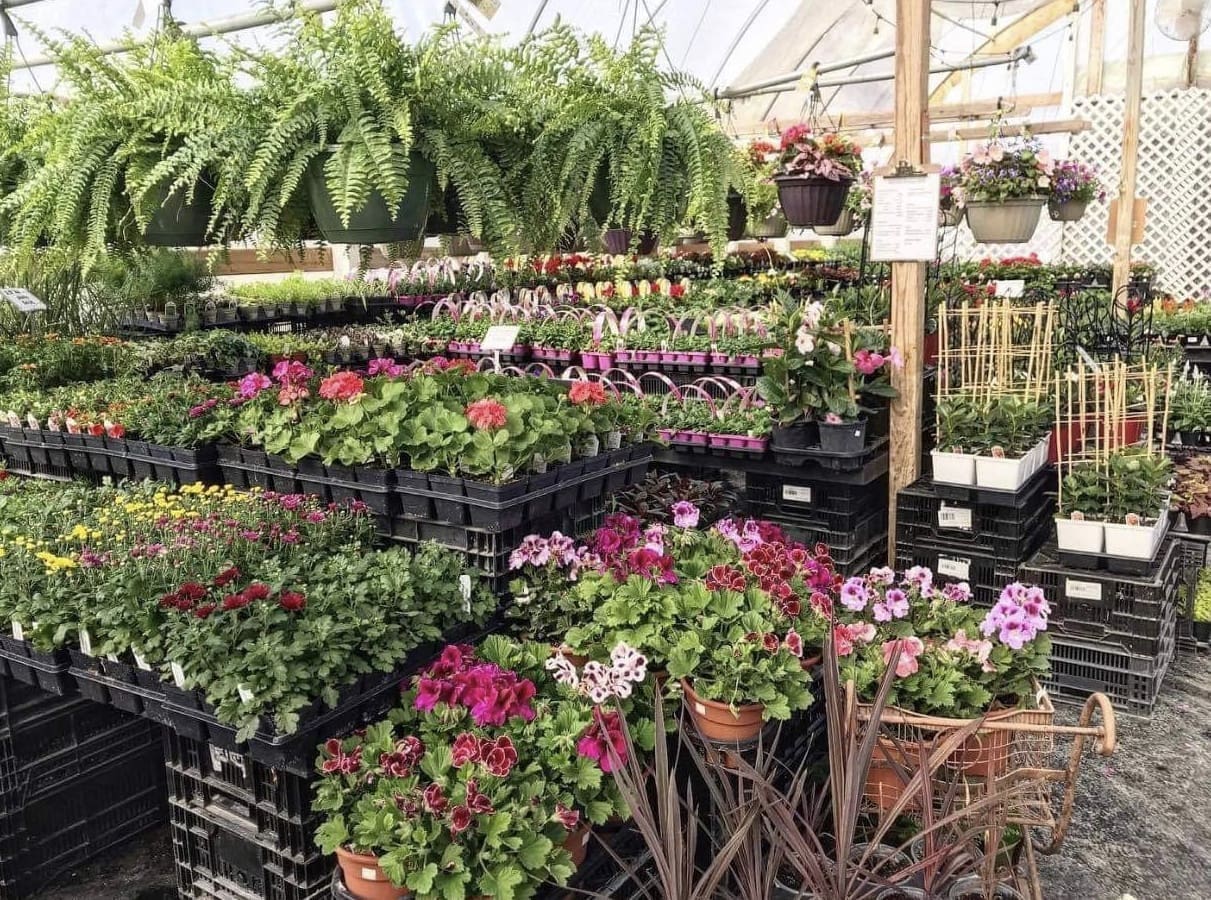 Guide to Rochester Area Nurseries and Greenhouses