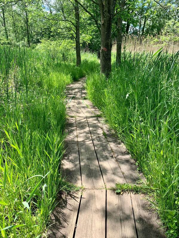 Things to do in Rochester NY Rochester's Playbook