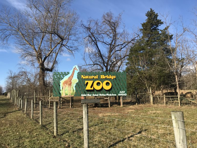 Natural Bridge Zoo elephant’s living conditions called ‘threat’ to her