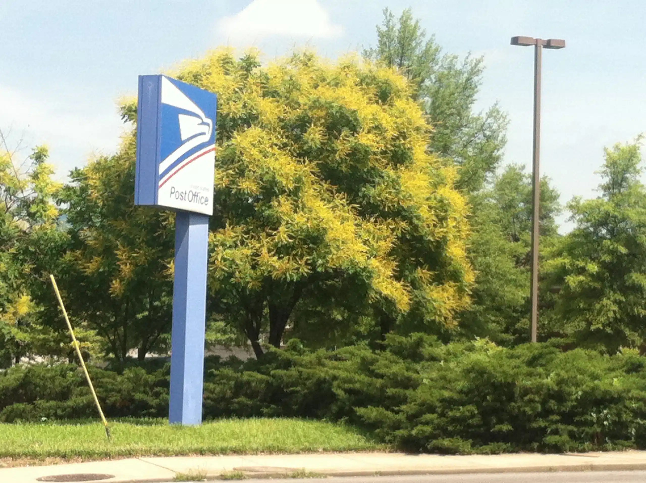 Chinese Golden Rain Tree Rock Bridges Trees