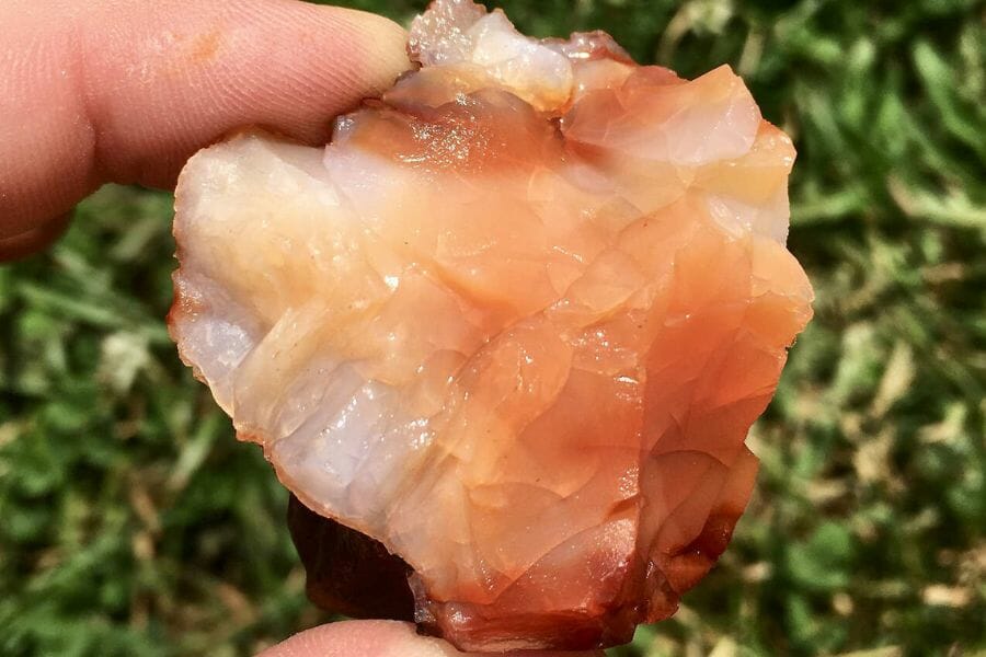 The 28 Best Ways To Find Crystals In Florida In 2023 (Legit)