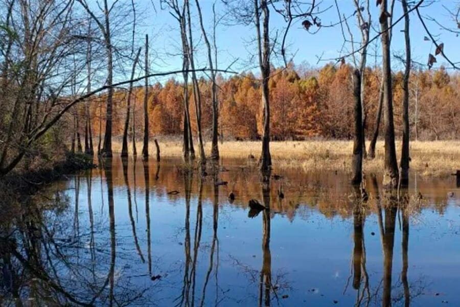 48 Great Sites For Rockhounding in Tennessee In 2024 (Legit)