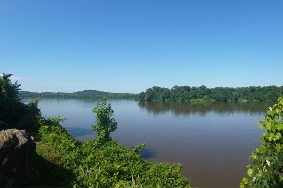 12 Top Spots To Find Petrified Wood In Pennsylvania In 2024