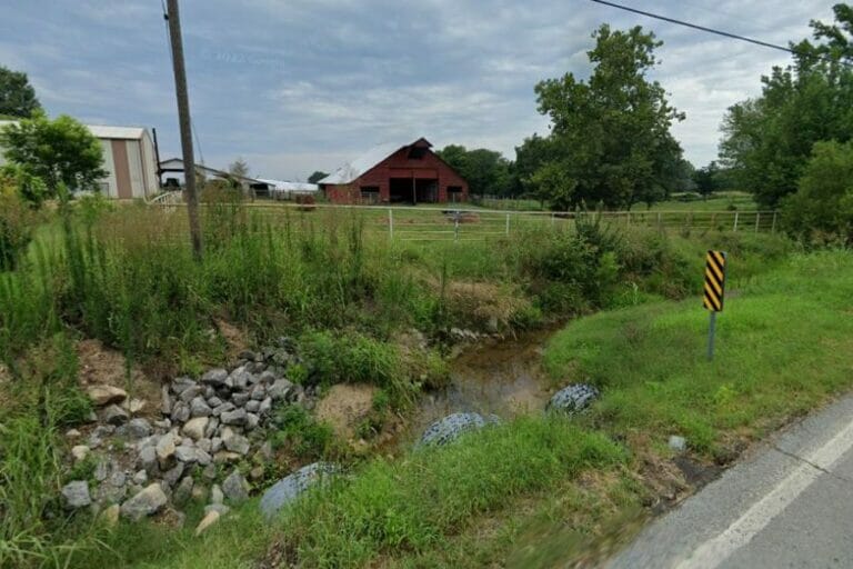 Great Ways To Find Petrified Wood in Arkansas in 2024