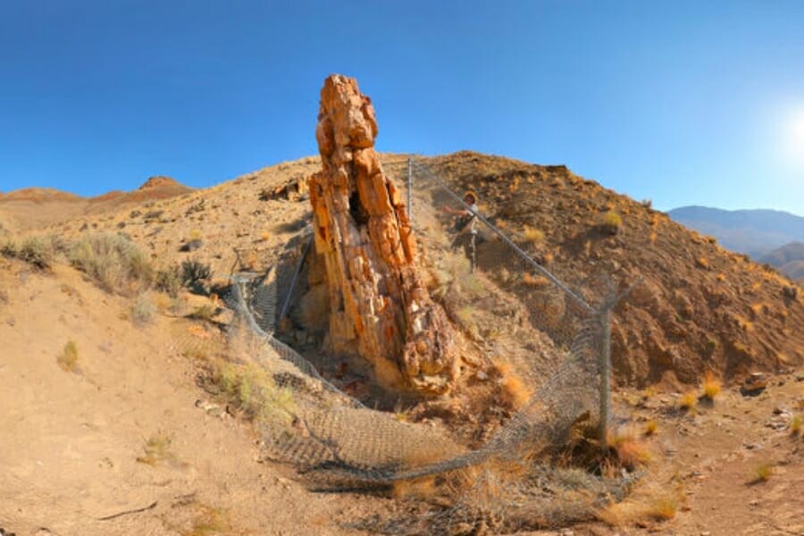 31 Proven Locations To Find Agates In Idaho In 2024 (Proven)