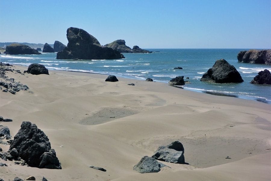 Our 56 Favorite Areas To Find Oregon Fossils In 2024 (Legit)