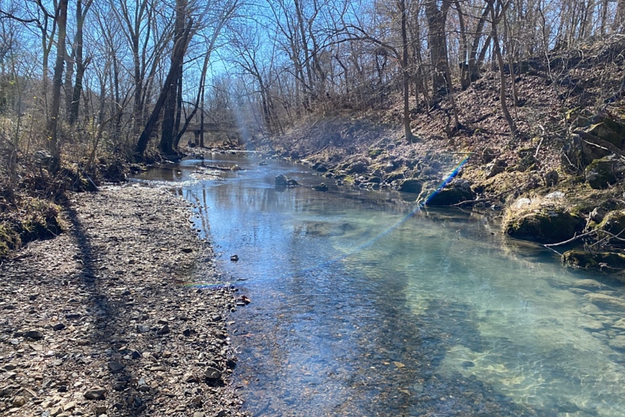 56 Great Sites To Find Quartz In Arkansas In 2024