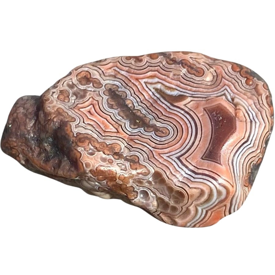 How Experts Tell the Difference Between Real and Fake Jasper