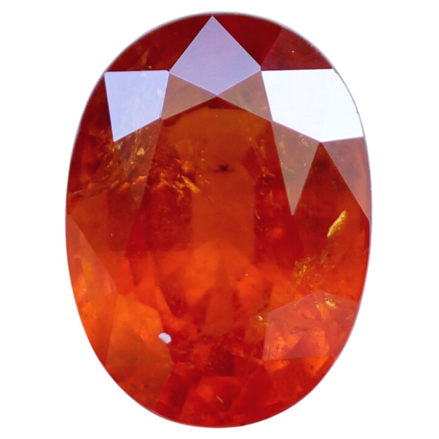 The 7 Different Colors And Types (With Photos)