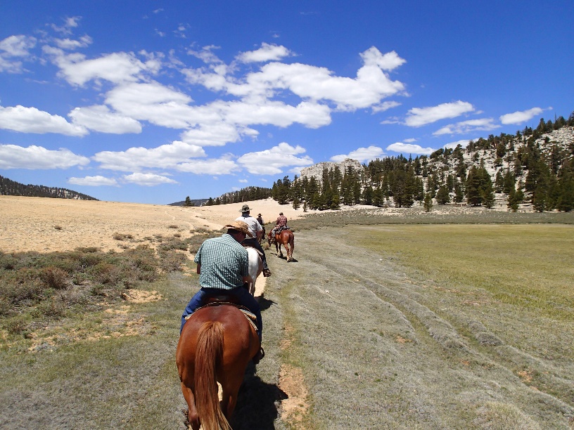 High Sierra Pack Trips; Horseback Riding; Mule Packing; John Muir Trail