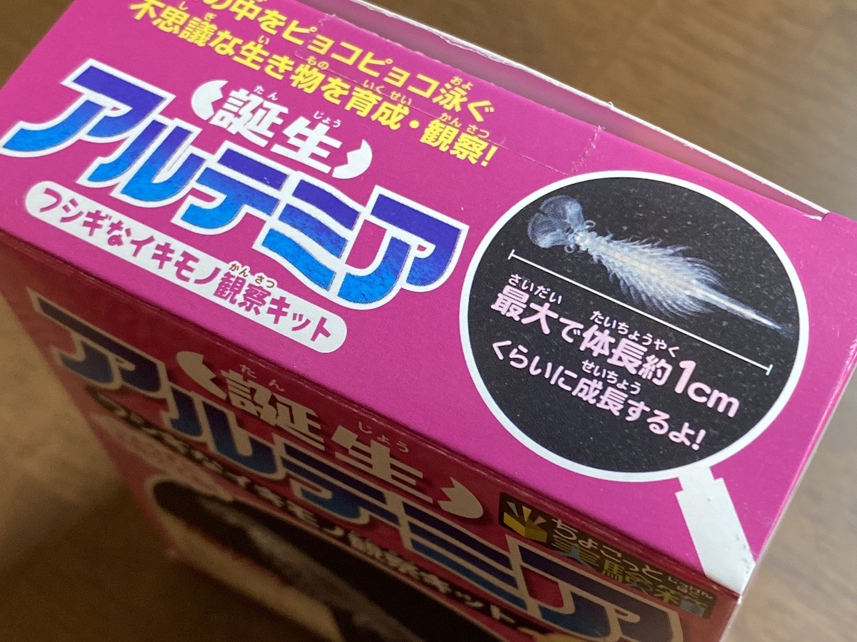 【検証】生きている化石「アルテミア」を大事に育てたら最後はどうなるのか？（結論編） ロケットニュース24