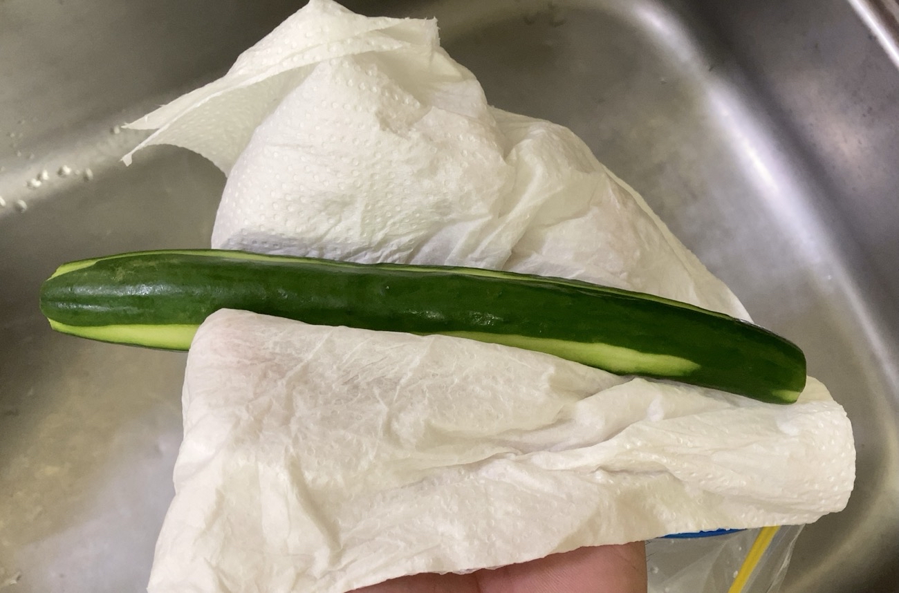 【簡単キャンプ飯】夏祭り気分が味わえる「きゅうりの1本漬け」は超絶簡単！ 水分・塩分補給もできるから暑い夏に最高ォォ！ ロケットニュース24