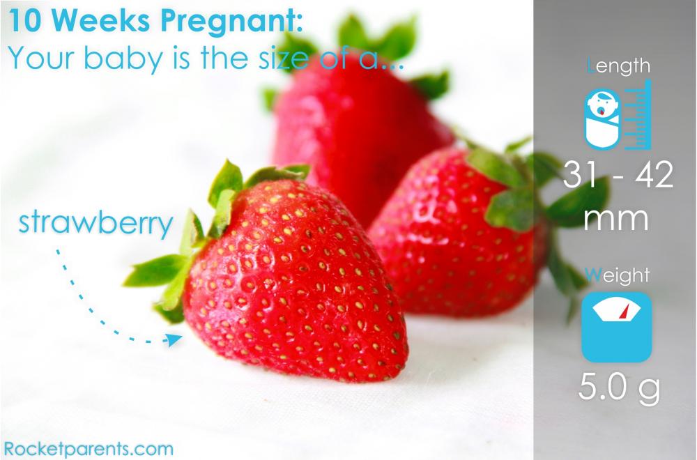 10 Weeks Pregnant Symptoms, Fetus Ultrasound, Belly Photos