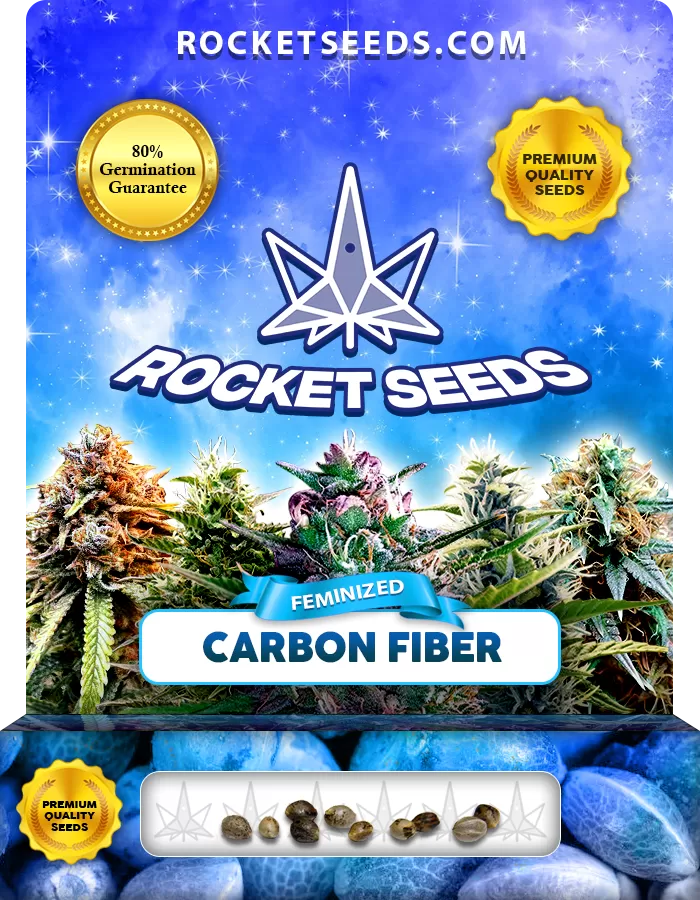 Carbon Fiber Strain Feminized Marijuana Seeds Rocket Seeds