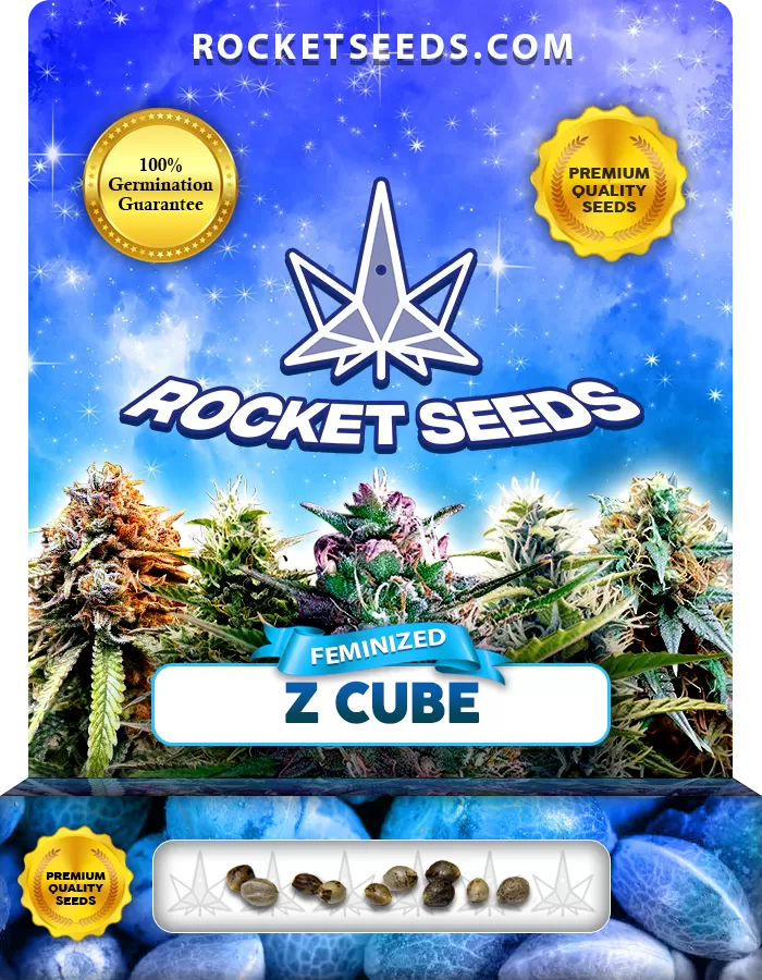 Z Cube Strain Feminized Marijuana Seeds Rocket Seeds